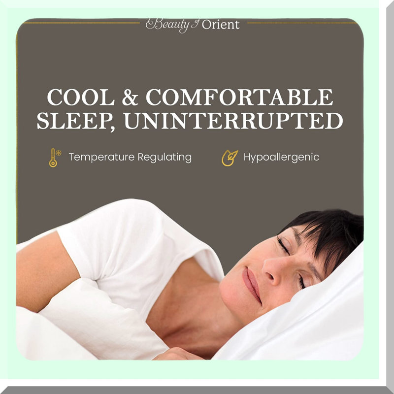 CoolSilk HairGuard Pillowcase - 19 Momme Mulberry Silk Cover with Hidden Zipper for Queen Size Pillow - Premium Cooling Silver Lining - 20" x 30"