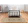 Atterbury Oriental Indoor Rug