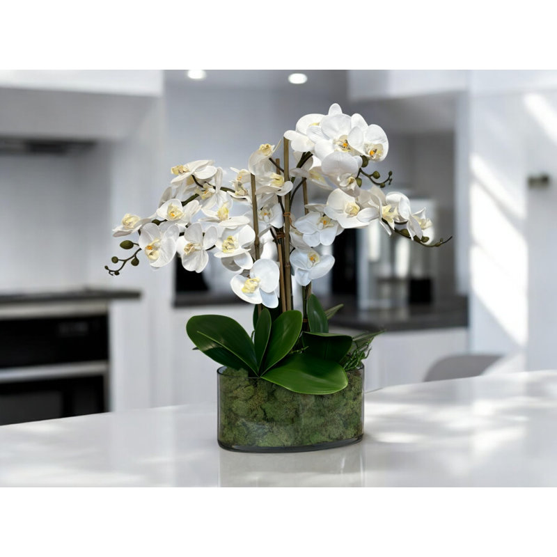 Orchids And Bamboo In A Clear Glass Oblong Vase