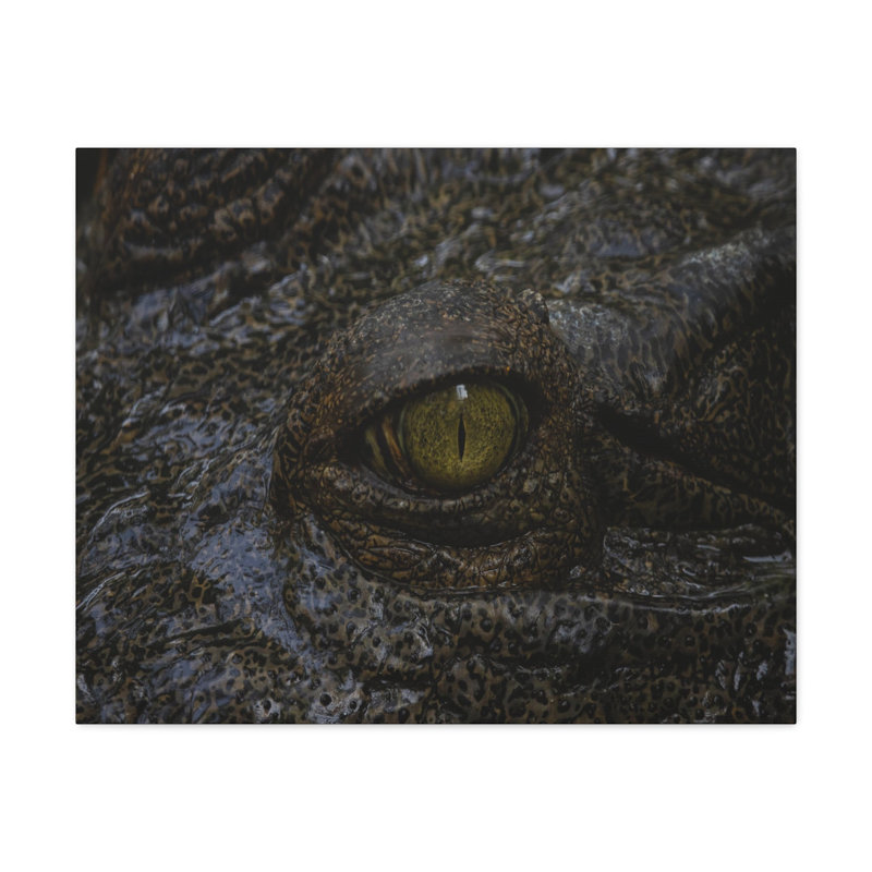 No Frame Print on Canvas, 45.72cm H x 60.96cm W