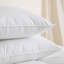 Oreiller en duvet de canard blanc moyen 600 l avec housse en coton biologique Tencel 300T - grand