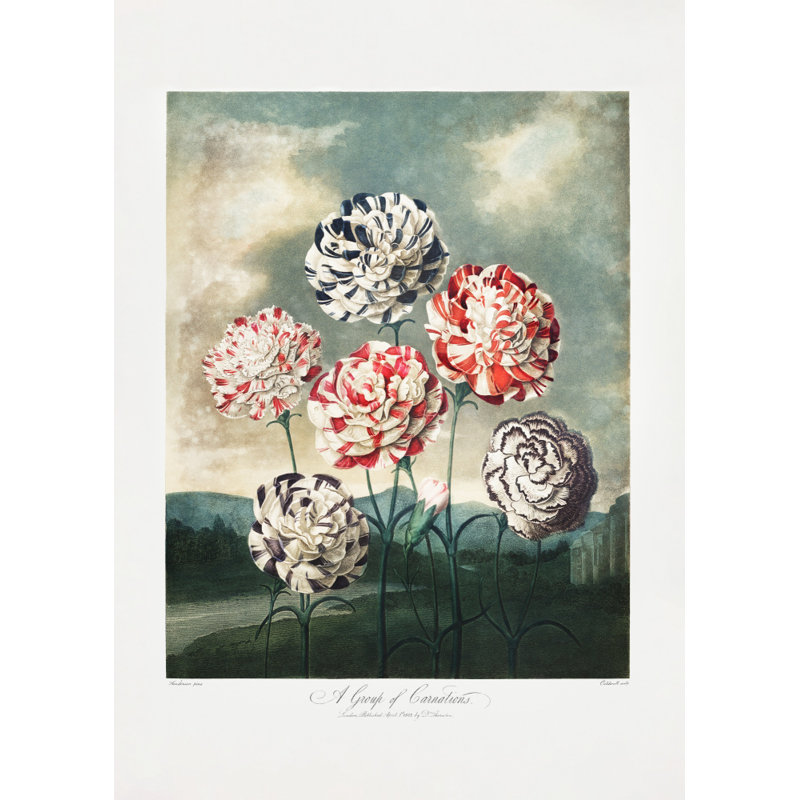 Wrapped Canvas Print, 76.2cm H x 50.8cm W