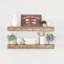 Tanisha Solid Wood Floating Shelf with Adjustable Shelves