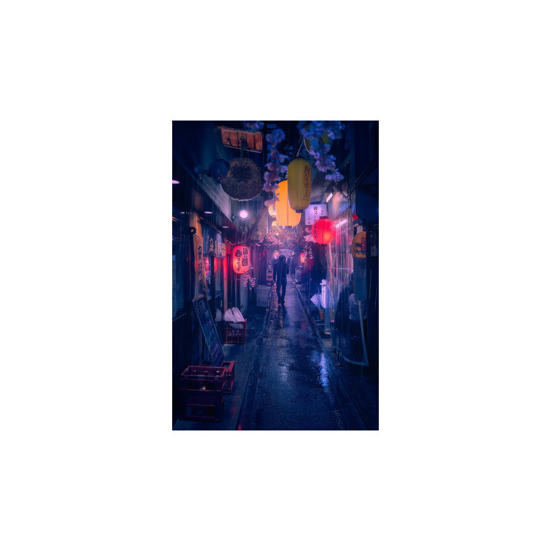 Wrapped Canvas Print, 50.8 cm H x 76.2 cm W