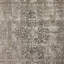 Morelli Oriental Area Rug in Alani Natural-501928071