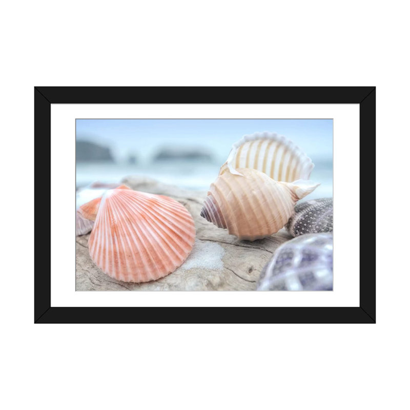 «Crescent Beach Shells X», estampe numérique sur toile tendue, H 16 po x l 24 po x P 1 po, Papier d'art encadré noir