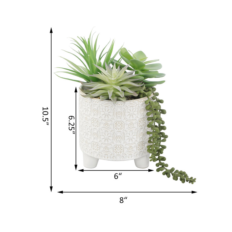 Plante grasse artificielle 4,25 po