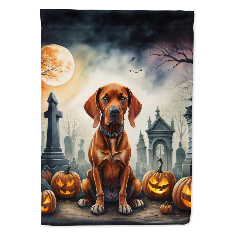 Drapeau de maison d'Halloween en polyester à double face H 40 po x l 28 po
