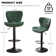 Swivel Adjustable Height Modern Bar& Counter Stool