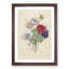 Anemone Flowers by Pierre-Joseph Redoute - Single Picture Frame Painting-55545262-55545261