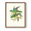 «Lime & Cerulean Parrots II», reproduction encadrée - bois massif-934413499-934413500