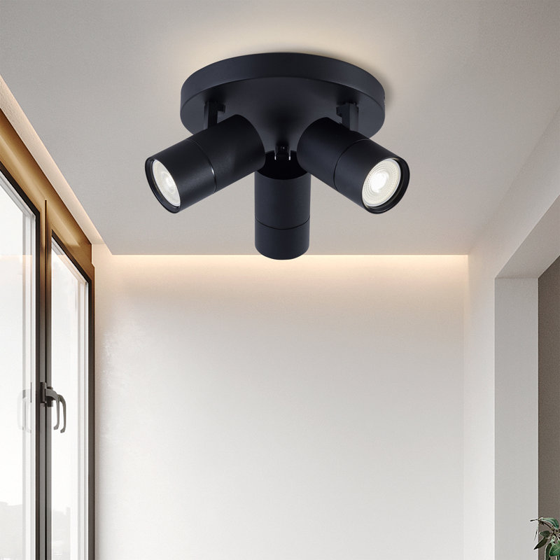 Auralia Spotlight, Black