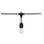 Kendron Indoor / Outdoor 12 - Bulb 288 in. Plug-in LED Standard String Light