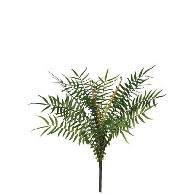 Pulvérisateur de palmes