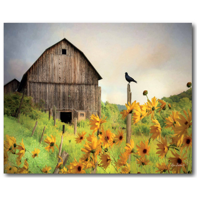 « Farm & Sunflower », reproduction de photo sur toile, H 30 po x l 40 po x 1,5 po