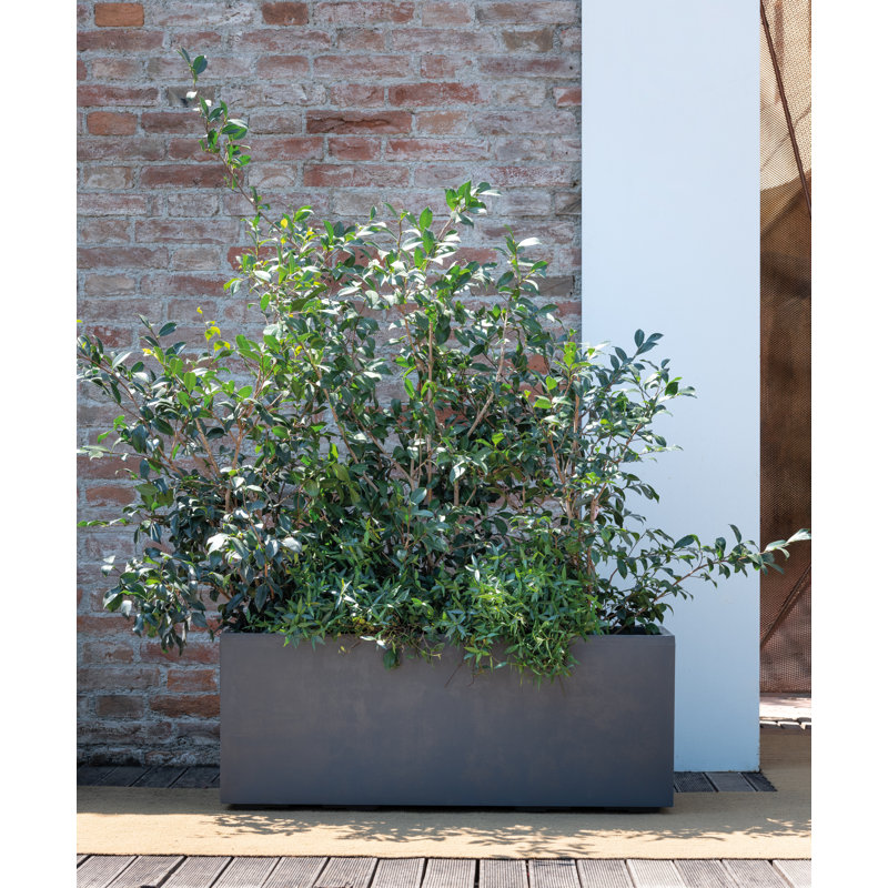 Millennium Trough, Anthracite, 39cm H x 99cm W x 39cm D