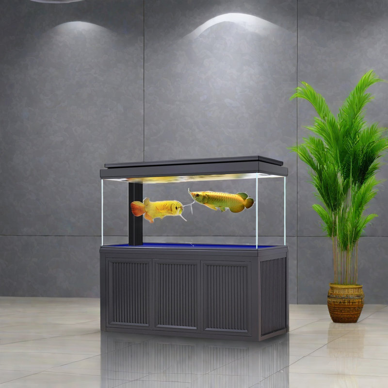 Black Minimalist Rectangular Eco Aquarium Tank, 165 Gallon (66.1" H x 70.8" W x 19.6" D)