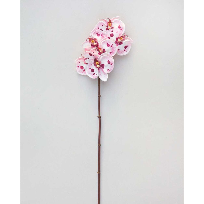 Pink Spotted Phalaenopsis Orchid 22”, White, 23" H x 3" W