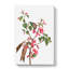 Pink Judas Tree Flowers by Pierre-Joseph Redoute - Wrapped Canvas-55325148