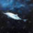Swimming dolphin - 32"x32" art on canvas
