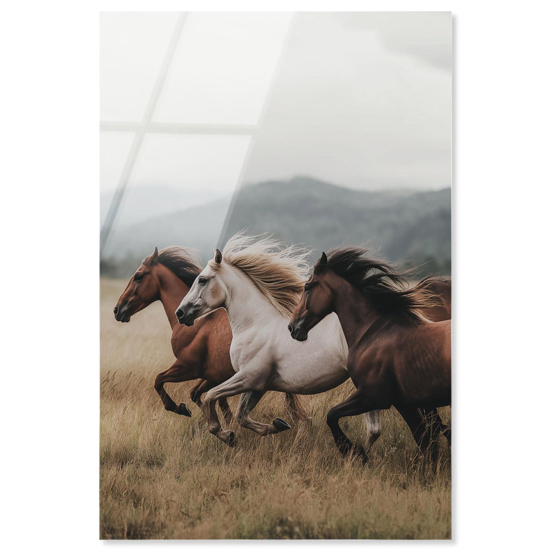 «Horse of Thunder II», reproduction d'art sur toile par Notoriart, prête à être accrochée, 36 x 54, H 54 po x l 36 po