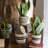 Bertans Handmade Pot Planter-678478953