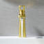 Paula Single Hole Single-Handle Bathroom Faucet-110897511