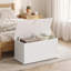 Blanket Chest-593310195