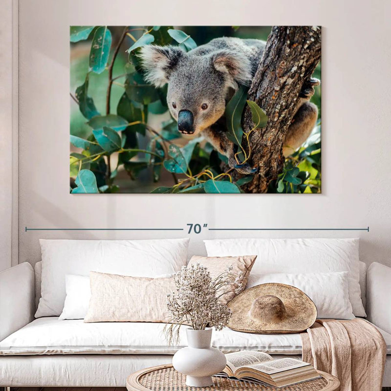 Australia Koala, 34" H x 51" W