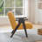 Tysha Modern Accent Chair with Espresso Wood Frame-106839916