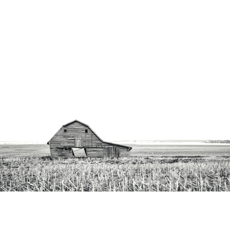 «Zymier L penché BW sur toile» par Nathan Larson, H 20 po x l 30 po