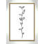 Fleurs simples 4 - reproduction de dessin-55543454-55543427
