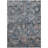 Machine Washable Indoor/Outdoor Chantille ACN2430 Traditional Rug-1183914544-1183914511