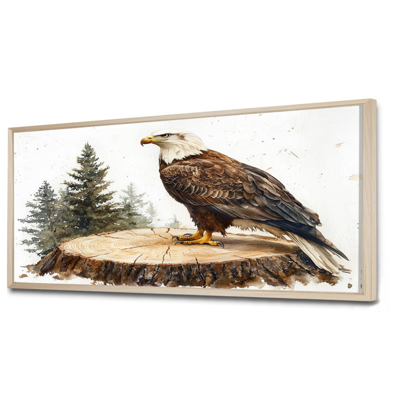 Gillean Eagle Silent Vigil In Summer - Eagle, art mural, H 28 po x l 60 po, Impression encadrée flottante, Crème, crème