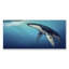 Baleine dans l'océan - Impression sur toile-1937934308-1937934311