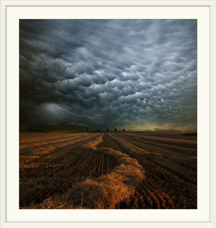 Straub " Mammatus " by Franz Schumacher, White Frame, 24" H x 23" W x 1" D