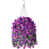 Purple/Red Lotus selected