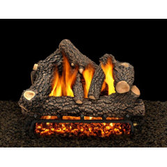 Remote Control Included Gas Fireplace Inserts u0026 Logs You'll Love in 2023 -  Wayfair Canada