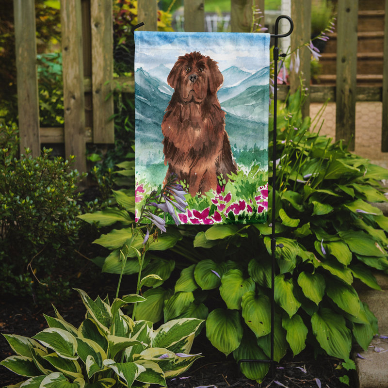 Yorkshire terrier yorkie à 2 côtés en polyester 15 x 11,5 po mountain fleurs drapeau de jardin, Terre-Neuve (caramel/bleu)