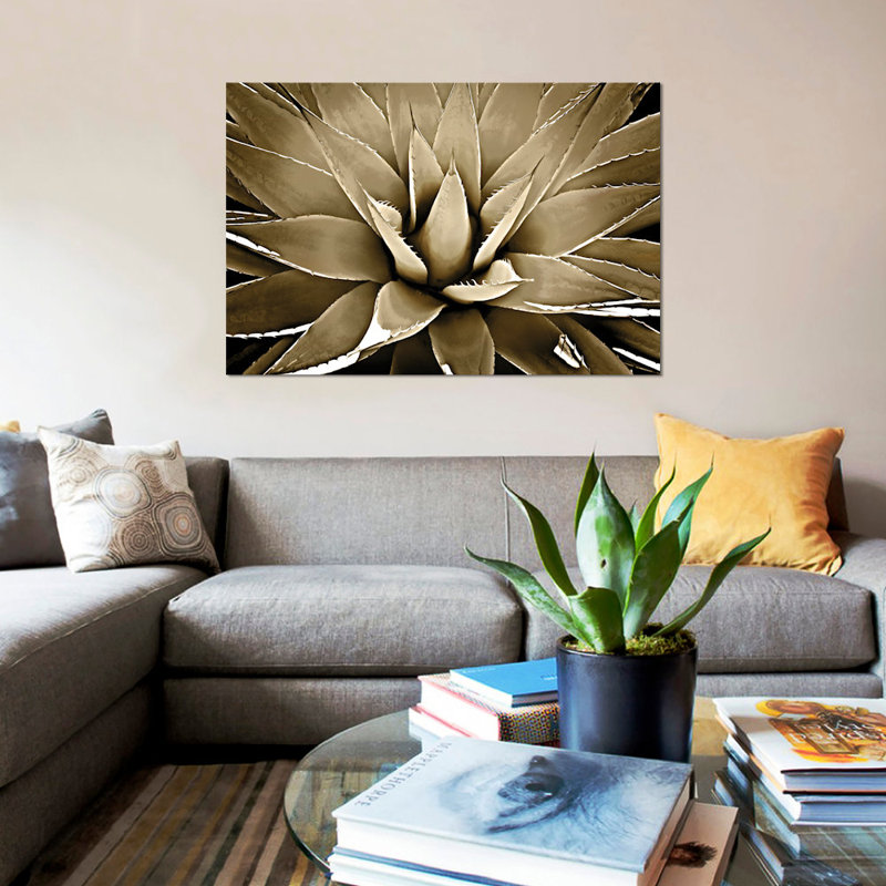 « taupe succulent iii », impression sur toile, H 18 po x l 26 po x P 1,5 po, Papier d'art encadré noir, Pas de tapis