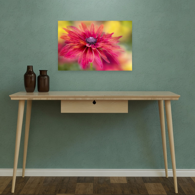 Vibrant Magenta Bloom Colorful Vibrant Flower Nature Wall Art Print 1 Piece Wrapped Canvas Wall Art, 30.48cm H x 45.72cm W