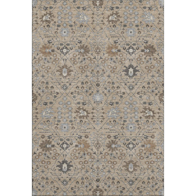 Premium Machine Washable Colmenero AMF1009 Oriental Rug