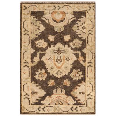 Langford Wool Oriental Area Rug in Brown/Beige