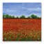 «Field of Poppies I» par Tim O'Toole, art mural en verre acrylique-1203381772