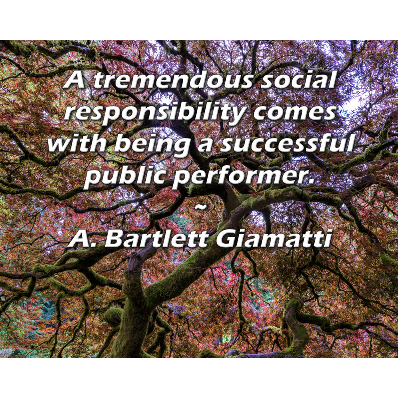 Toile tendue de la galerie ArtsyQuotes par A. Bartlett Giamatti: «Une formidable responsabilité sociale est d'être un artiste public couronné de succès.