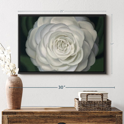 Floral And Botanical " Camellia "