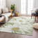 Machine Washable Indoor/Outdoor Oliveras ACN2263 Floral Rug