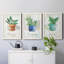 " Potted Basil " 3 - Pieces-241935327-241935326