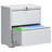 2 Drawer Lateral File Cabinet with Lock - Secure, Spacious Steel Filing Cabinet for Home Office, Letter/Legal/F4/A4 Files-103532501