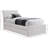 Myles Pittenger Chenille Fabric Twin Trundle Bed-97582918